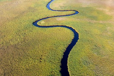 Delta Okavango 'nun Botswana' daki vahşi doğasına hava görüntüsü.