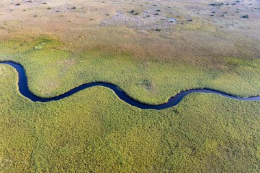 Delta Okavango 'nun Botswana' daki vahşi doğasına hava görüntüsü.