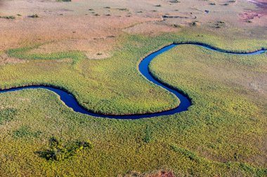 Delta Okavango 'nun Botswana' daki vahşi doğasına hava görüntüsü.
