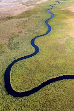 Delta Okavango 'nun Botswana' daki vahşi doğasına hava görüntüsü.