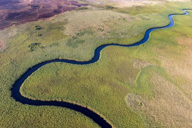 Delta Okavango 'nun Botswana' daki vahşi doğasına hava görüntüsü.