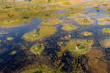 Delta Okavango 'nun Botswana' daki vahşi doğasına hava görüntüsü.