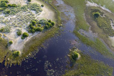 Delta Okavango 'nun Botswana' daki vahşi doğasına hava görüntüsü.