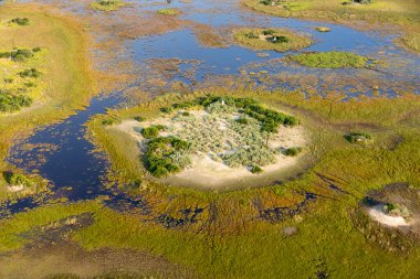 Delta Okavango 'nun Botswana' daki vahşi doğasına hava görüntüsü.