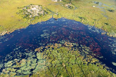 Delta Okavango 'nun Botswana' daki vahşi doğasına hava görüntüsü.