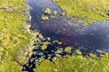 Delta Okavango 'nun Botswana' daki vahşi doğasına hava görüntüsü.