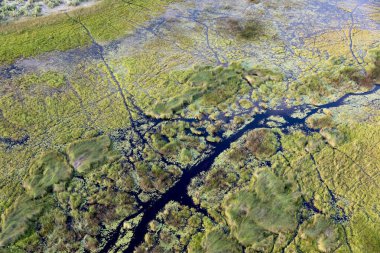 Delta Okavango 'nun Botswana' daki vahşi doğasına hava görüntüsü.