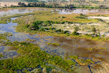 Delta Okavango 'nun Botswana' daki vahşi doğasına hava görüntüsü.