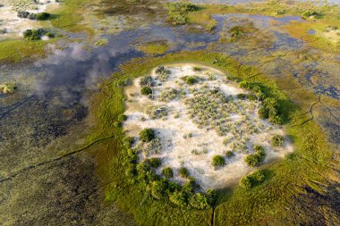 Delta Okavango 'nun Botswana' daki vahşi doğasına hava görüntüsü.