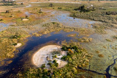 Delta Okavango 'nun Botswana' daki vahşi doğasına hava görüntüsü.