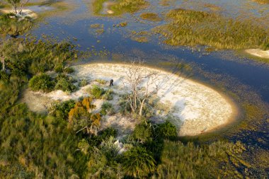 Delta Okavango 'nun Botswana' daki vahşi doğasına hava görüntüsü.