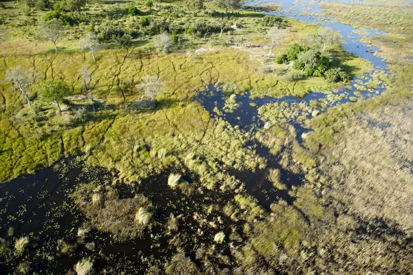 Vista Aérea Para Natureza Selvagem Delta Okavango Botsuana — Fotografia de Stock