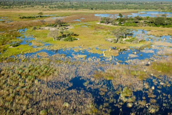 Delta Okavango Nun Botswana Daki Vahşi Doğasına Hava Görüntüsü — Stok fotoğraf