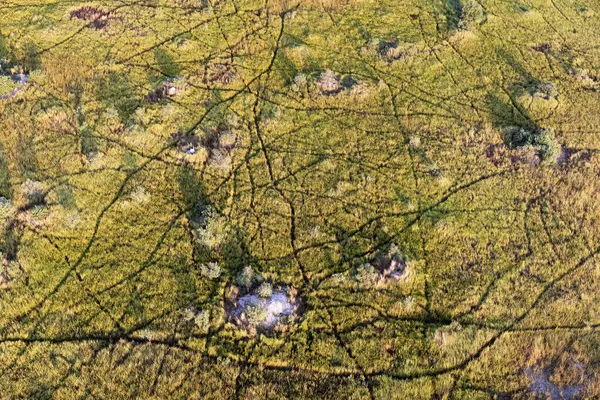 Αεροφωτογραφία Της Άγριας Φύσης Του Δέλτα Okavango Στη Μποτσουάνα — Φωτογραφία Αρχείου