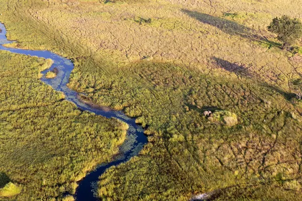 Veduta Aerea Della Natura Selvaggia Del Delta Okavango Botswana — Foto Stock