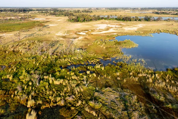 Delta Okavango 'nun Botswana' daki vahşi doğasına hava görüntüsü.