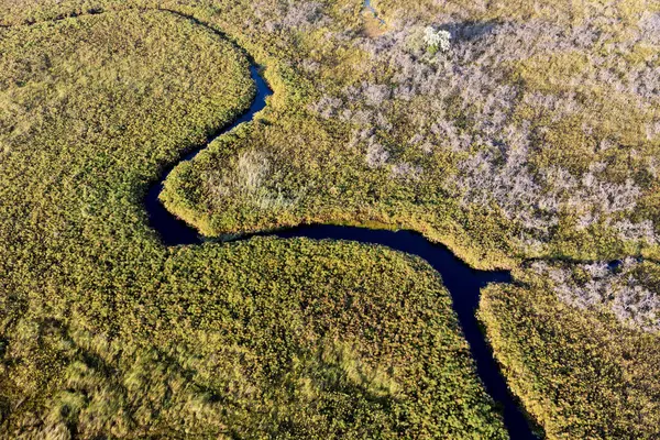 Delta Okavango 'nun Botswana' daki vahşi doğasına hava görüntüsü.