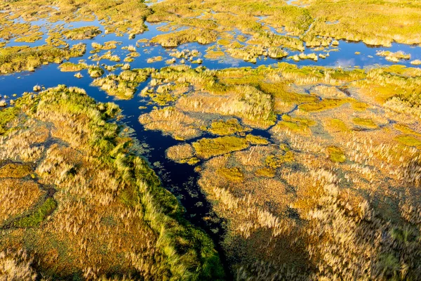 Aerial View Wild Nature Delta Okavango Botswana — Stock Photo, Image