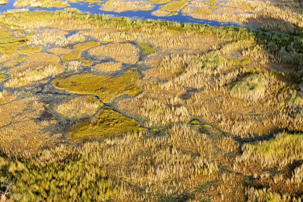 Delta Okavango 'nun Botswana' daki vahşi doğasına hava görüntüsü.