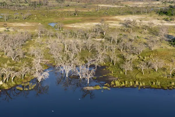 Delta Okavango 'nun Botswana' daki vahşi doğasına hava görüntüsü.