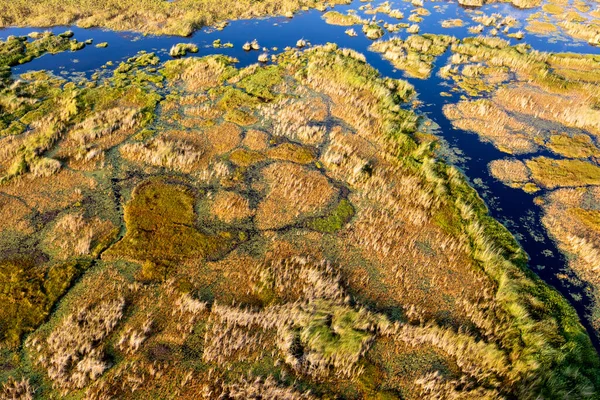 Delta Okavango 'nun Botswana' daki vahşi doğasına hava görüntüsü.
