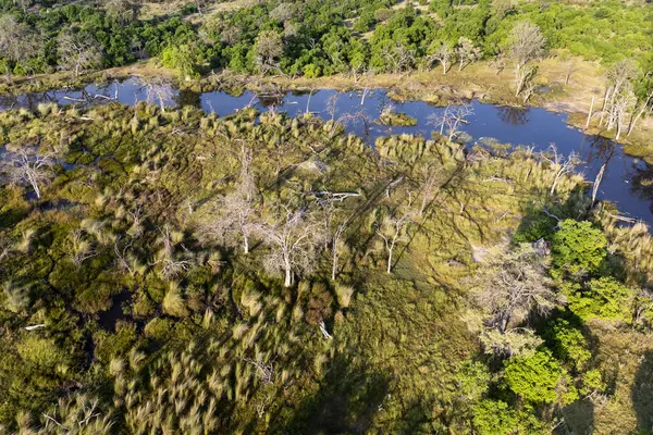 Delta Okavango 'nun Botswana' daki vahşi doğasına hava görüntüsü.