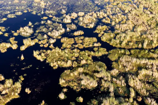 stock image Aerial view to wild nature of Delta Okavango in Botswana.