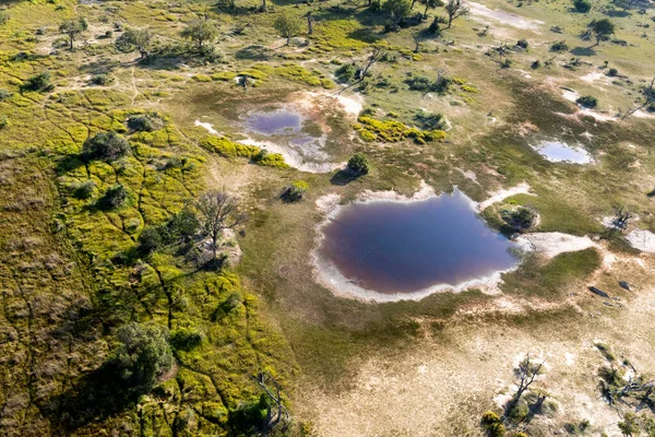 Aerial View Wild Nature Delta Okavango Botswana — Stock Photo, Image