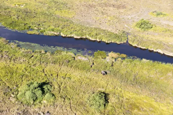 Delta Okavango 'nun Botswana' daki vahşi doğasına hava görüntüsü.