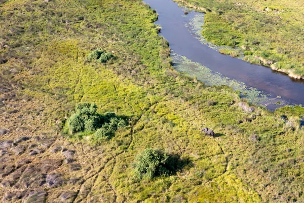 Delta Okavango 'nun Botswana' daki vahşi doğasına hava görüntüsü.