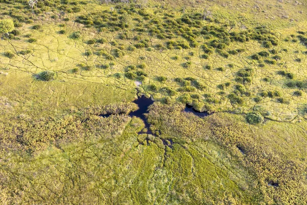 Delta Okavango 'nun Botswana' daki vahşi doğasına hava görüntüsü.