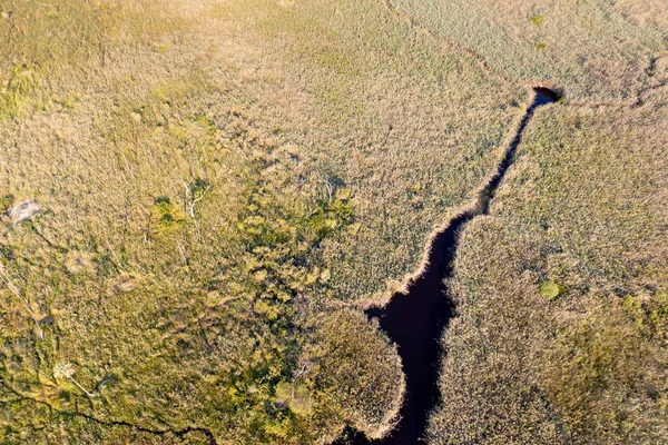 Letecký Pohled Divokou Přírodu Delta Okavango Botswaně — Stock fotografie