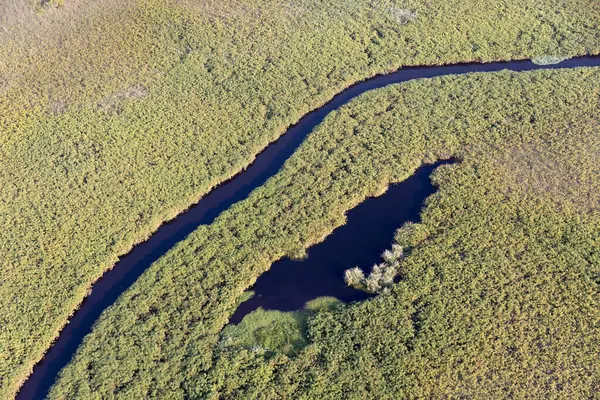 Delta Okavango 'nun Botswana' daki vahşi doğasına hava görüntüsü.