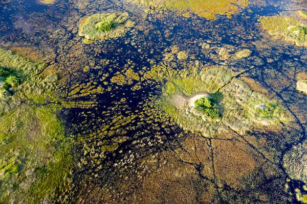 Vue Aérienne Nature Sauvage Delta Okavango Botswana — Photo