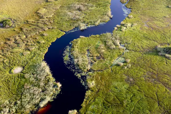 Delta Okavango 'nun Botswana' daki vahşi doğasına hava görüntüsü.