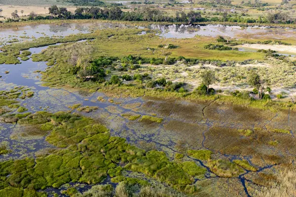 Delta Okavango 'nun Botswana' daki vahşi doğasına hava görüntüsü.