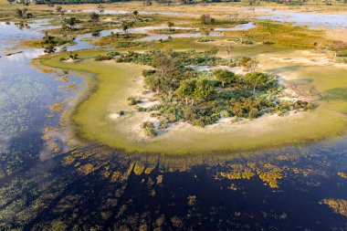 Delta Okavango 'nun Botswana' daki vahşi doğasına hava görüntüsü.