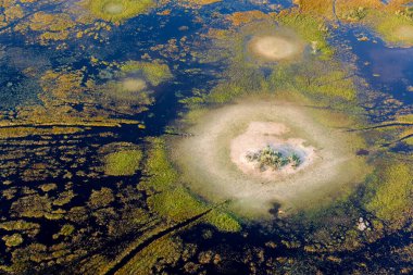 Delta Okavango 'nun Botswana' daki vahşi doğasına hava görüntüsü.