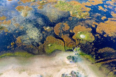 Delta Okavango 'nun Botswana' daki vahşi doğasına hava görüntüsü.