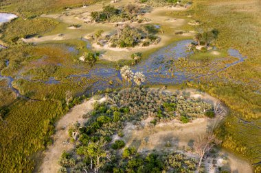 Delta Okavango 'nun Botswana' daki vahşi doğasına hava görüntüsü.