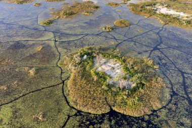 Delta Okavango 'nun Botswana' daki vahşi doğasına hava görüntüsü.