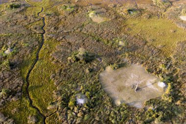 Delta Okavango 'nun Botswana' daki vahşi doğasına hava görüntüsü.
