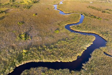 Delta Okavango 'nun Botswana' daki vahşi doğasına hava görüntüsü.