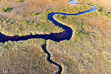 Delta Okavango 'nun Botswana' daki vahşi doğasına hava görüntüsü.