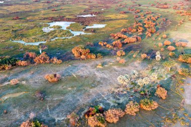 Delta Okavango 'nun Botswana' daki vahşi doğasına hava görüntüsü.