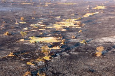 Delta Okavango 'nun Botswana' daki vahşi doğasına hava görüntüsü.