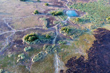Delta Okavango 'nun Botswana' daki vahşi doğasına hava görüntüsü.