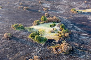 Delta Okavango 'nun Botswana' daki vahşi doğasına hava görüntüsü.