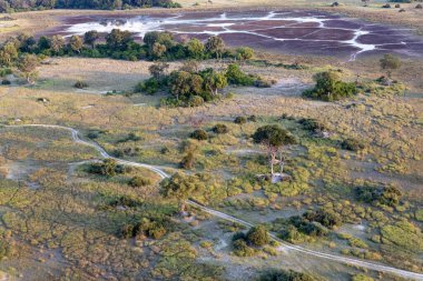 Delta Okavango 'nun Botswana' daki vahşi doğasına hava görüntüsü.