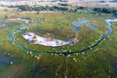 Delta Okavango 'nun Botswana' daki vahşi doğasına hava görüntüsü.